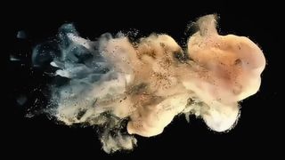 ई-स्टूडियो के लिए तोशिबा डेवलपर पाउडर D5070 500g